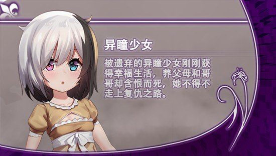 光与影的二重身 回合战斗 资料图 1